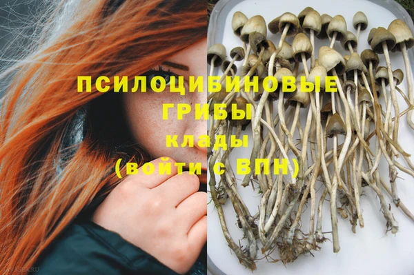 герыч Инта