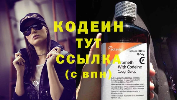 бошки Иннополис