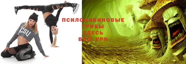 прущая мука Инсар