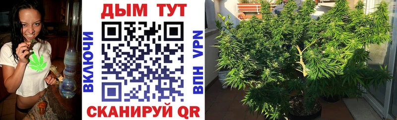 МАРИХУАНА Amnesia  Купить где  Верхоянск 